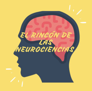Rincón neurociencias