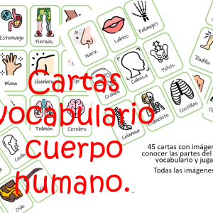 Cartas Cuerpo Humano