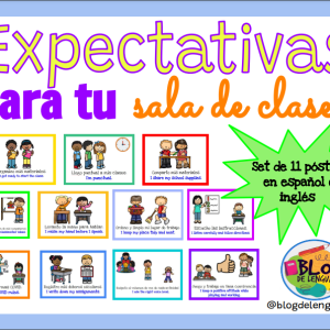 Expectativas de conductas para la sala de clases