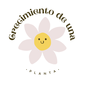 Crecimiento de una planta
