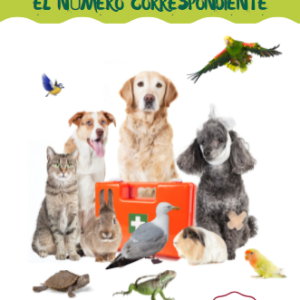Fichas para contar cantidades entre 9 y 13