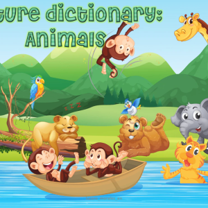 Animals