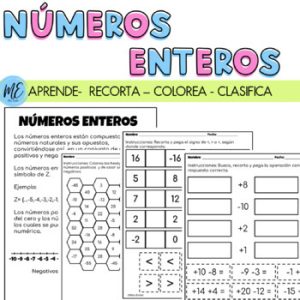 NÚMEROS ENTEROS PDF/DIGITAL