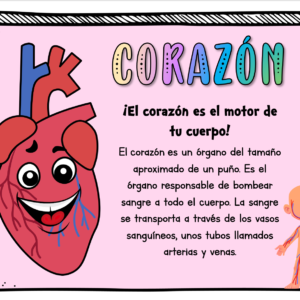 PANELES CUERPO HUMANO