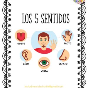 Panel 5 sentidos