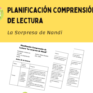 Planificación Comprensión Lectora "La Sorpresa de Nandi"