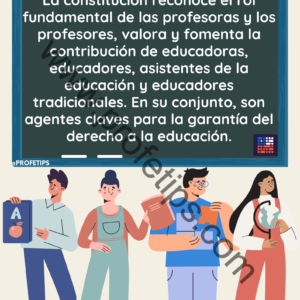 Pósters Artículo 43 de la nueva Constitución Chilena