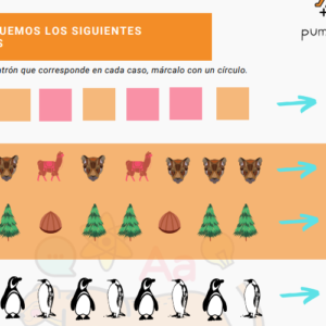 Patrones y Álgebra, 1° básico OA11