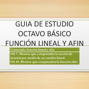 guía de ejercicios de función lineal y afín para octavo básico