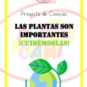 🍀 Proyecto de Ciencias "Las plantas son importantes ¡Cuidémoslas!"