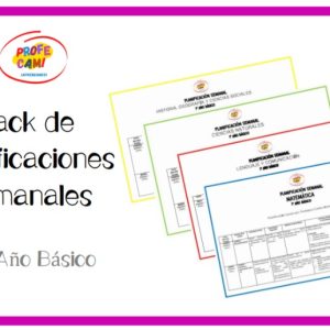 ⭐ Planificaciones Anuales 1° Año Básico⭐