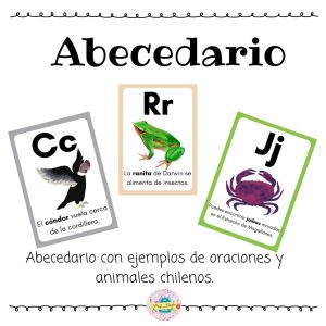 Abecedario con oraciones y animales chilenos