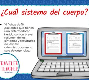 ¿Cuál sistema del cuerpo?