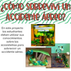 Proyecto ecosistemas. Cómo sobreviví a un accidente aéreo