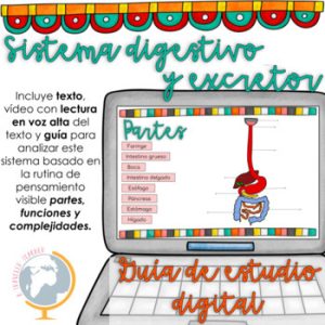 El sistema digestivo excretor guía analizar sus partes, funciones y complejidad