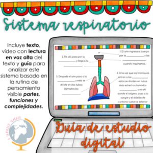 El sistema respiratorio guía analizar sus partes, funciones y complejidad