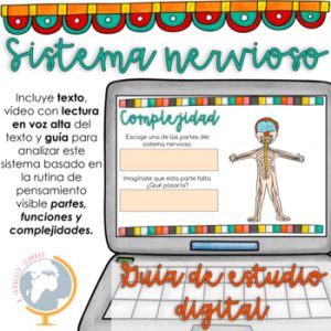 El sistema nervioso guía para analizar sus partes, funciones y complejidad