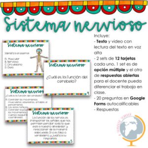 El sistema nervioso preguntas de comprensión