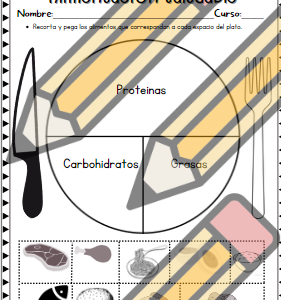 Alimentación Saludable