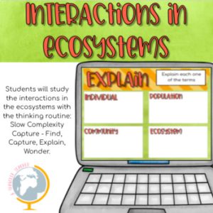 Interactions in ecosystems