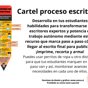 Cartel proceso escritor
