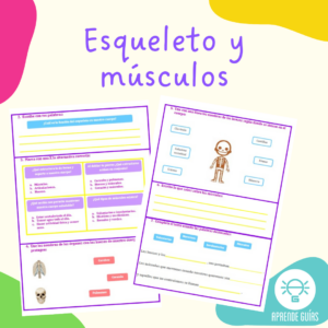 Esqueleto y músculos