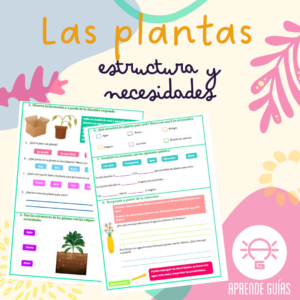 Estructura y necesidades de las plantas