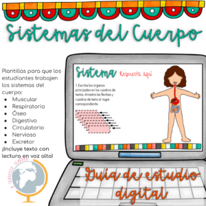 Proyecto los sistemas del cuerpo