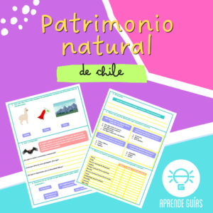 Reconocer expresiones del patrimonio natural de Chile