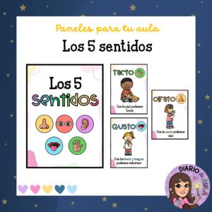 Los Sentidos