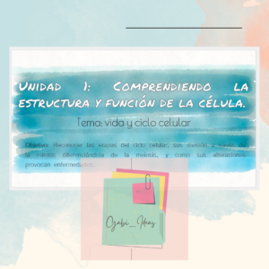 PPT - Ciclo celular