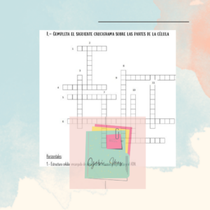 Crucigrama de la célula