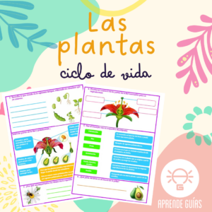 Ciclo de vida de las plantas con flor, partes de la flor y polinización