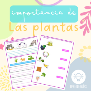 Importancia de las plantas para los seres vivos, el ser humano y el medioambiente