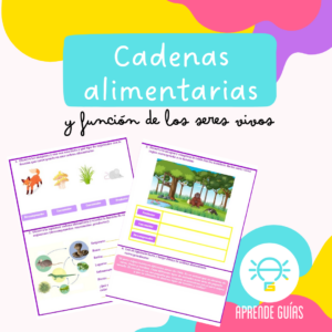 cadenas alimentarias y función de los seres vivos