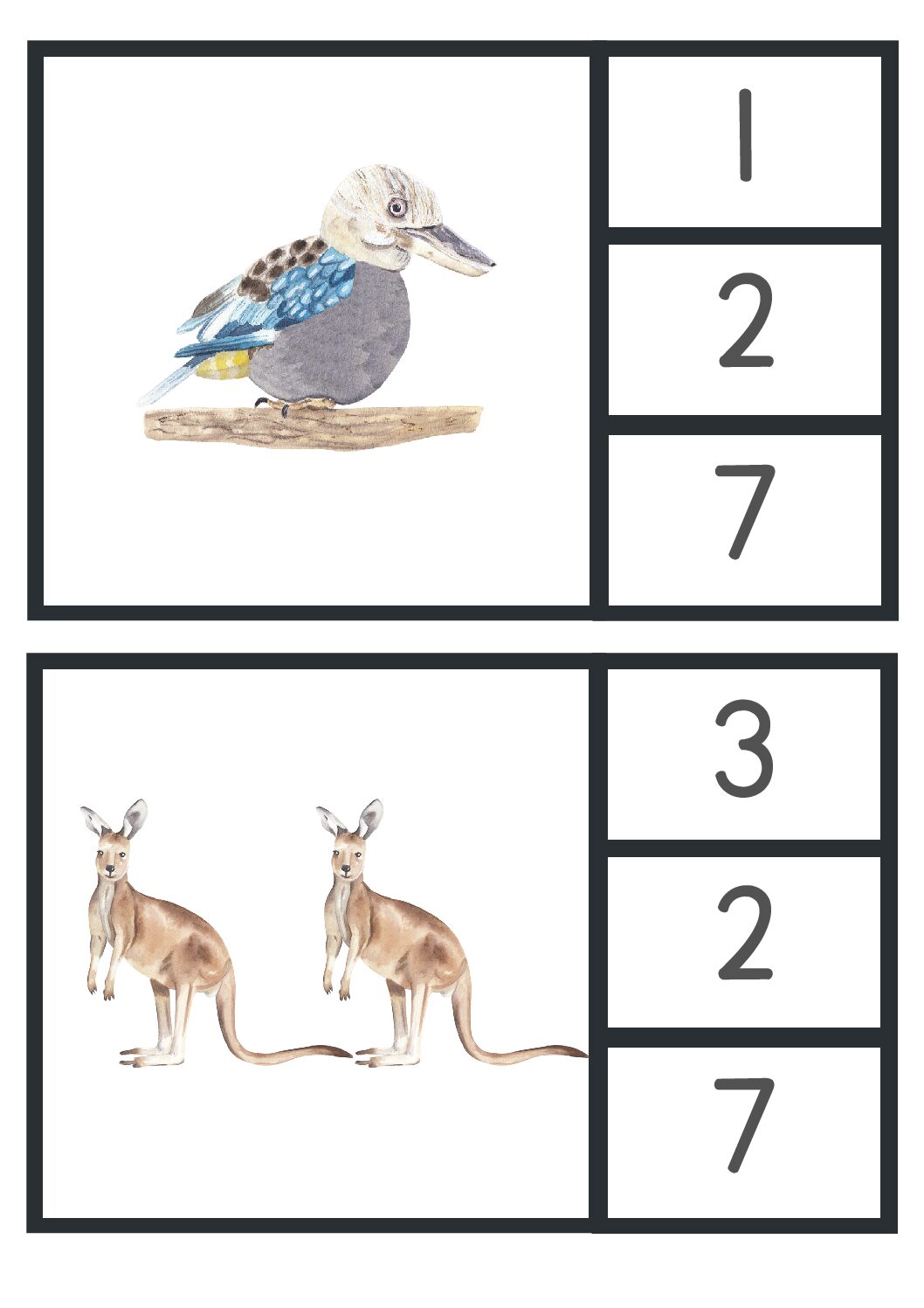 Counting animals