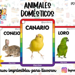 ANIMALES DOMÉSTICOS IMPRIMIBLE PARA LLAVERO.