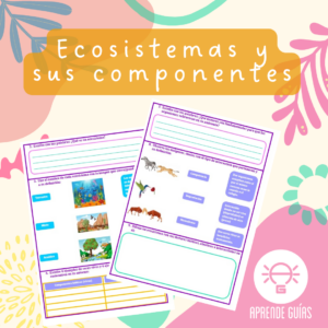 Ecosistemas y sus componentes