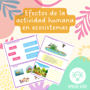 Efectos de la actividad humana en ecosistemas