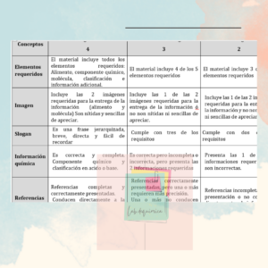 Rubrica evaluacion infografía