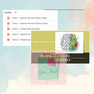 Pack de clases ppt - Sistema Nervioso