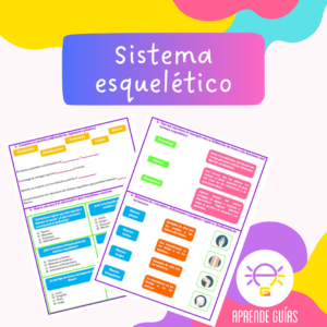 Sistema esquelético