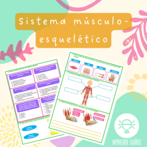 Sistema músculo-esquelético y movimiento