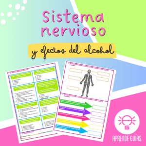 Sistema nervioso y efectos del alcohol en la salud humana