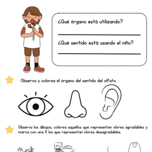 GUÍA EL OLFATO