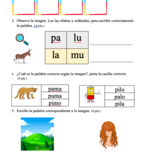 EVALUACIÓN FORMATIVA LETRA M, L Y P.
