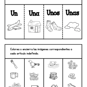 Artículos definidos e indefinidos