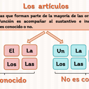 ACTIVIDAD INTERACTIVA ARTÍCULOS DEFINIDOS E INDIFENIDOS