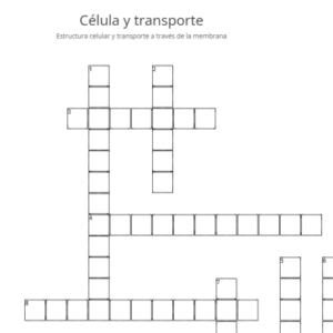 Crucigrama célula y transporte a través de la membrana