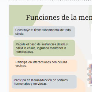 PPT Membrana celular y transporte 8º básico